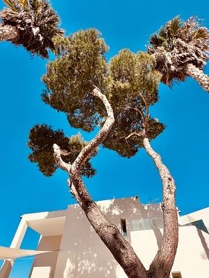 The Villa 1, San José, Ibiza: foto 22