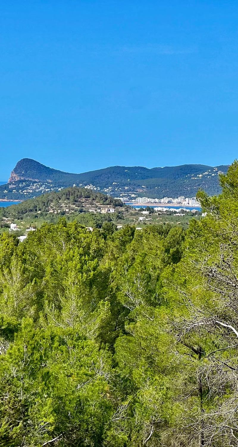 The Villa 1, San José, Ibiza: foto 43