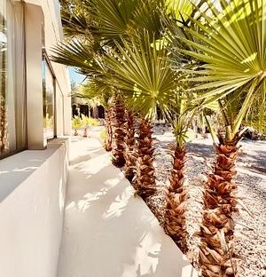 The Villa 1, San José, Ibiza: foto 58